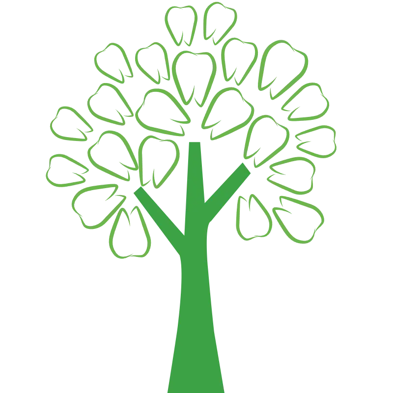 Baum Zahnarztpraxis Querfurt